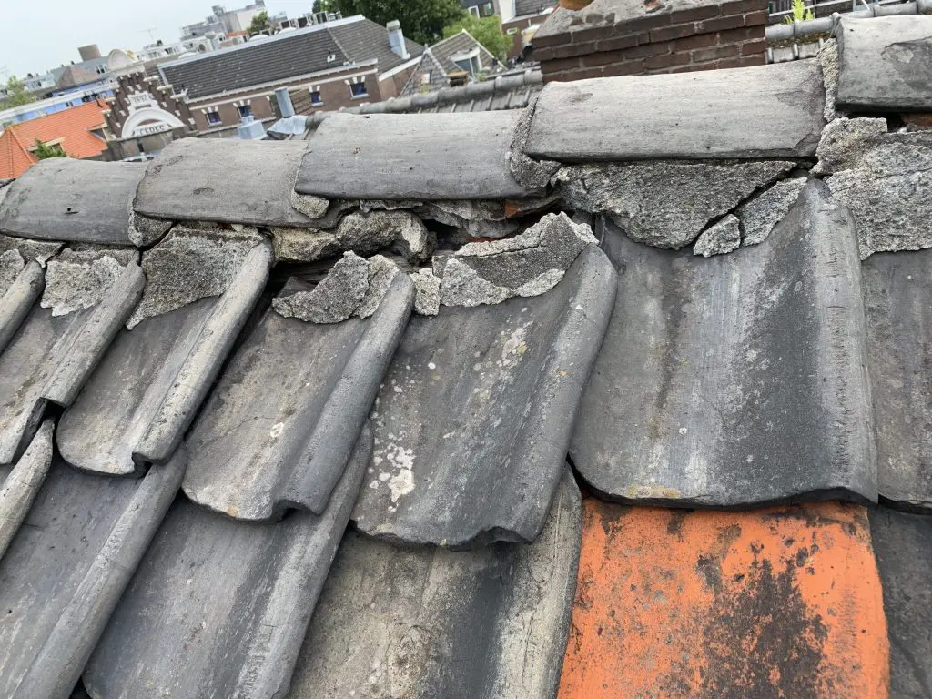 Nokvorsten reparatie