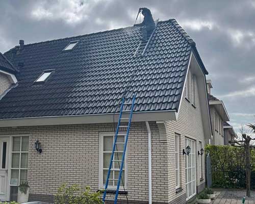 Dakreiniging