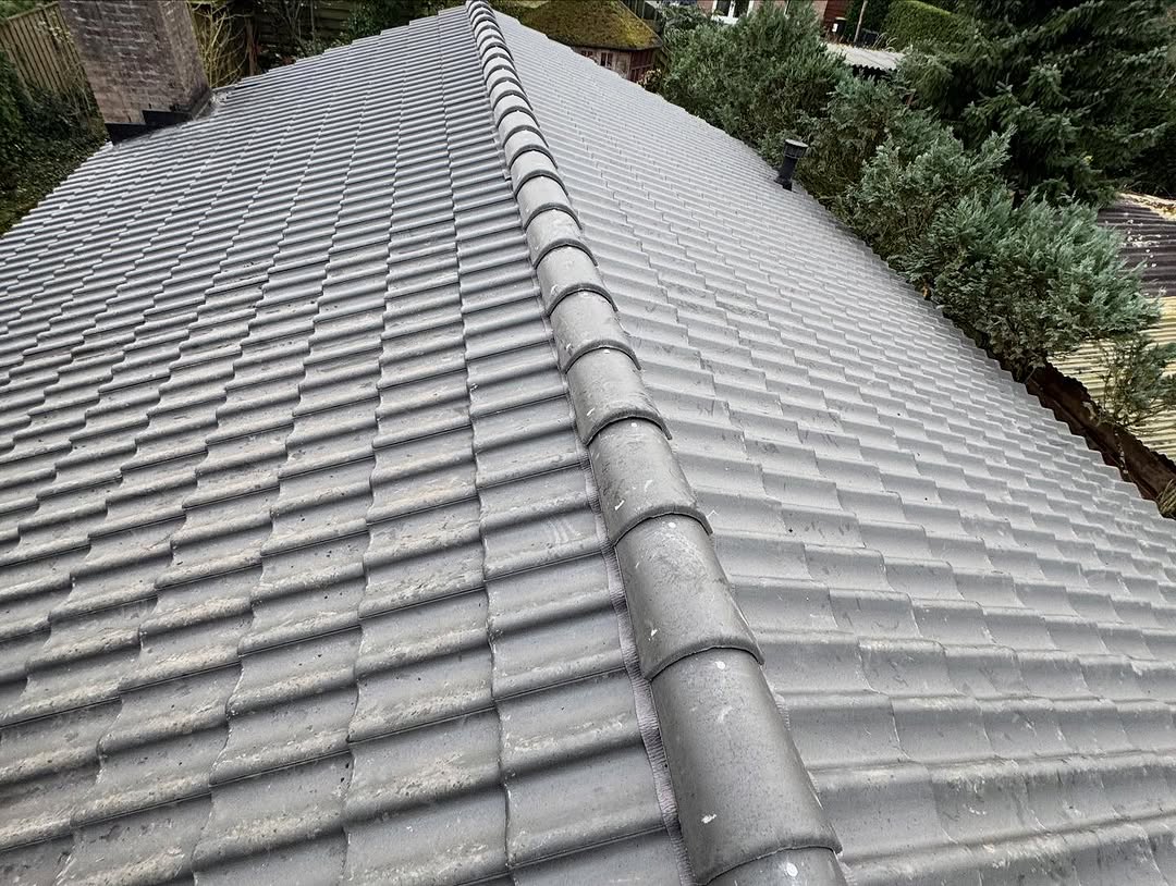 Pannendak vernieuwing met Sneldek antraciet